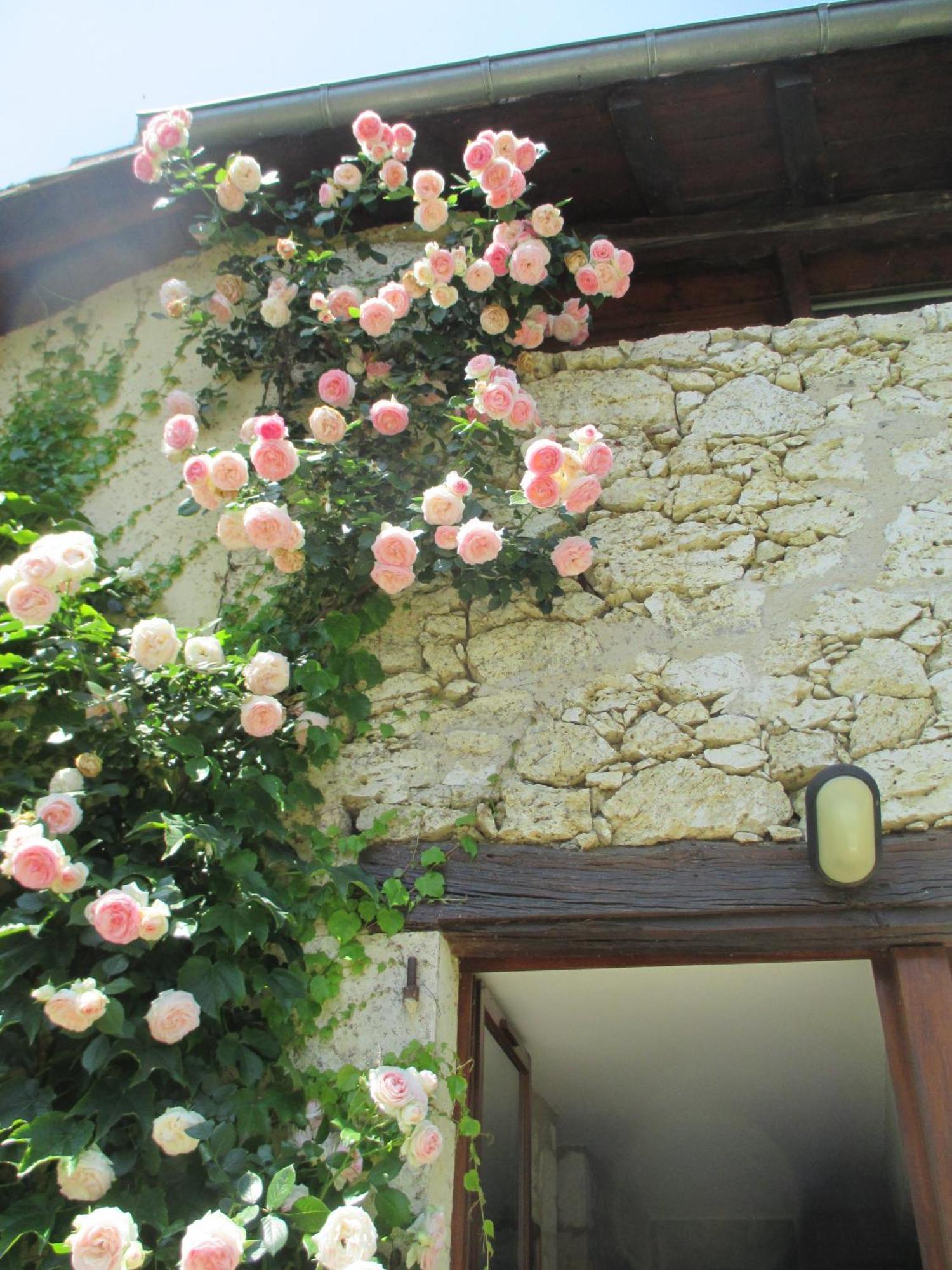 Bed and Breakfast Jardin d'En Naoua à Maubec  Extérieur photo